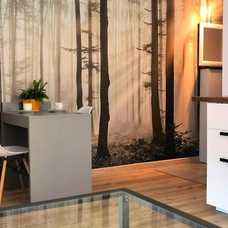 Apartament Sosnowa Puławy Esterno foto
